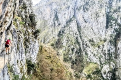 IMG-20190416-WA00172